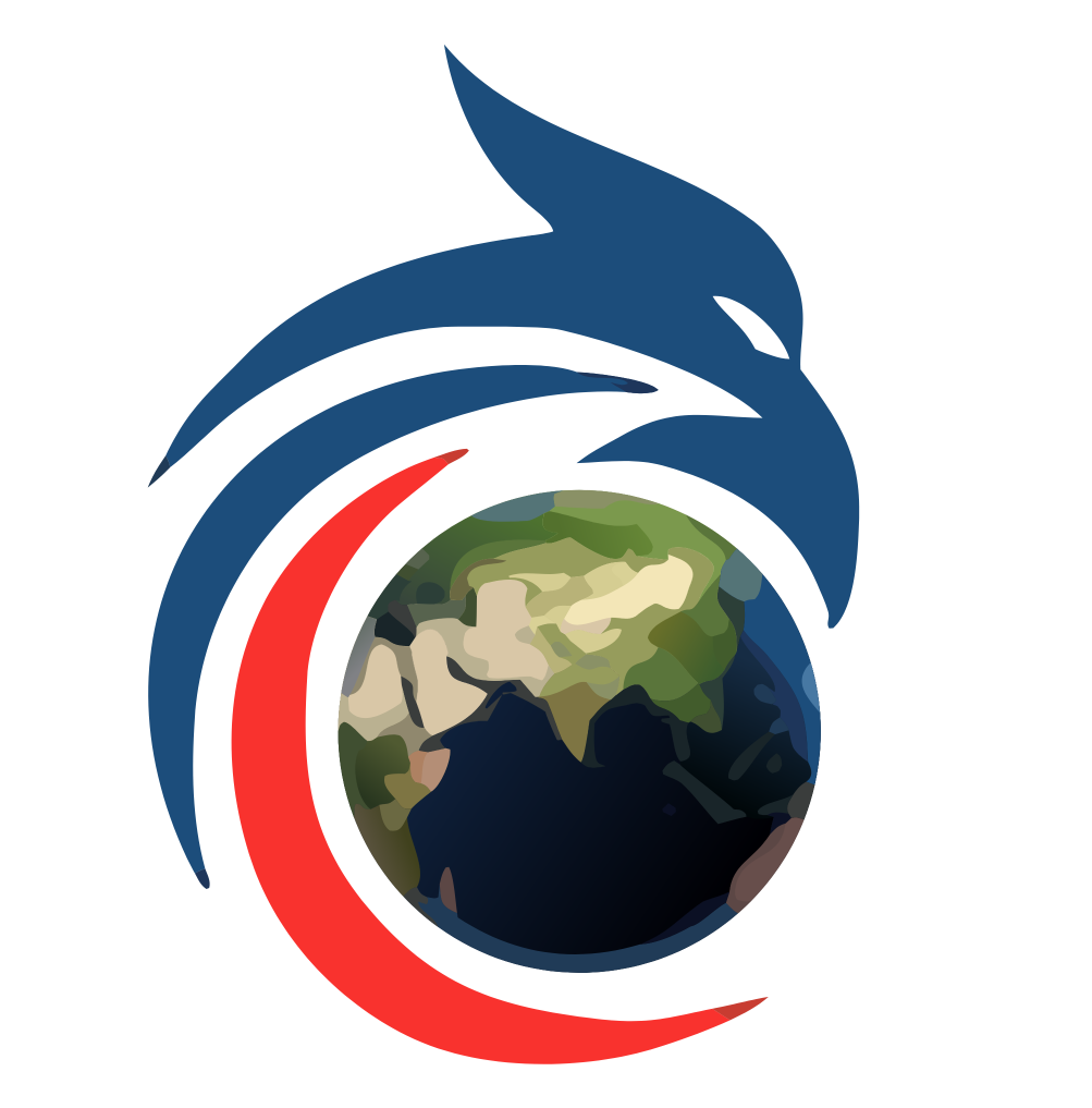 Hawk Capital - Strategic Investment Solutions